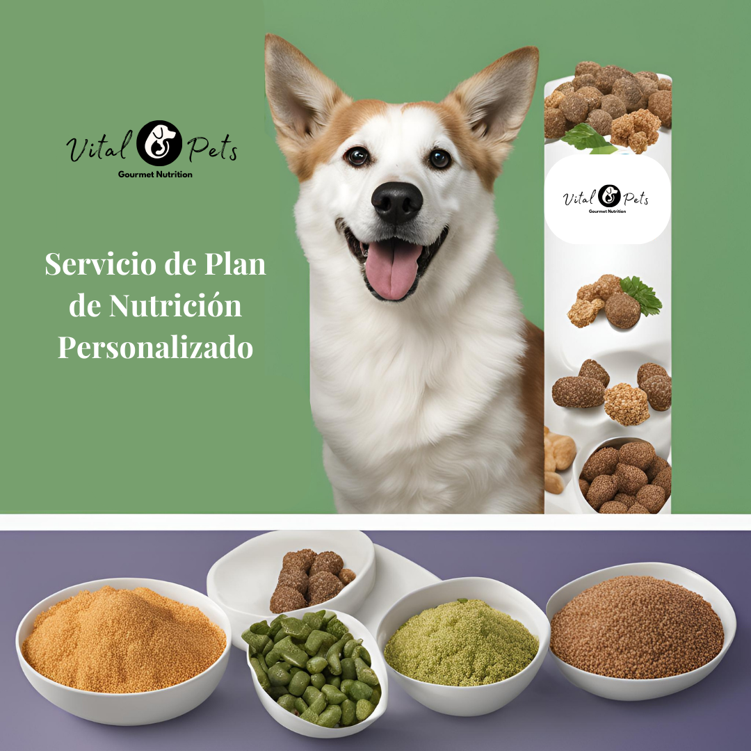 Planes de Nutrición Personalizados
